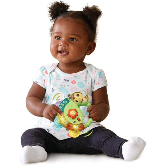 Vtech Shaking Sounds Tambourine