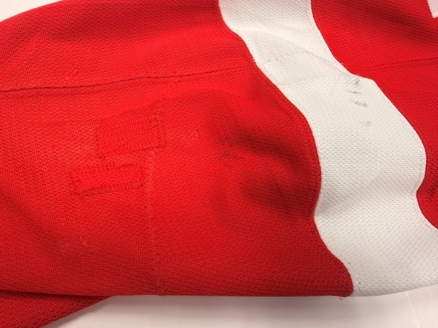 Detroit Red Wings Hockeytown Authentics 2021/2022 First Set Game