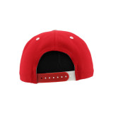 Detroit Red Wings Zephyr Menance Snapback