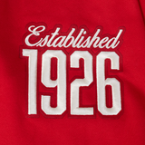 Detroit Red Wings Pro Standard Centennial Hockeytown Hood