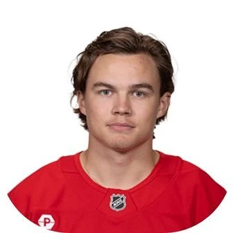 Detroit Red Wings Player