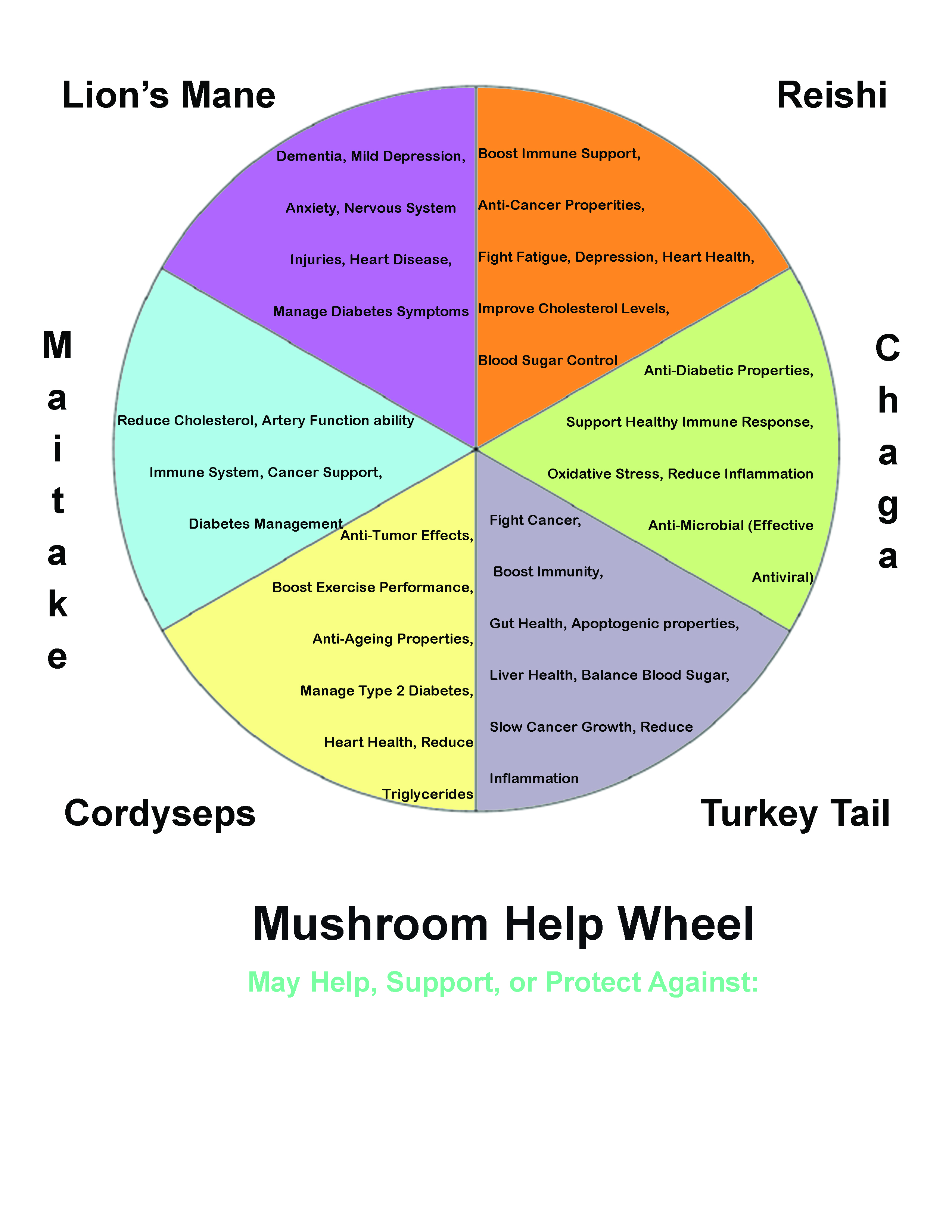 wheel-mushroom.jpg