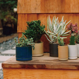 Hasami Porcelain Flower Pot - Matte Natural