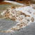 ENSORB® Granular Absorbent - 1.5 Cubic Foot Bag