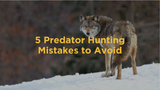 5 Mistakes to Avoid When Predator Hunting