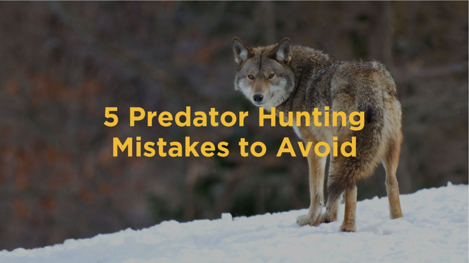 5 Mistakes to Avoid When Predator Hunting Maverick® Hunting