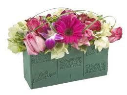 Oasis Wet Floral Foam Bricks - 3 x 4 x 9 Single Brick