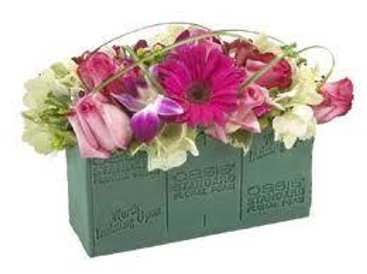 Oasis Foam Bricks 6/PK  Ensign Wholesale Flower Market