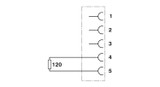 Resistencia de cierre SAC-5P-M12FS CAN TR