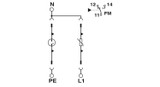 Descargador de sobretensiones modelo 2 VAL-SEC-T2-1S-350-FM