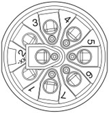 Conector SACC-M12MS-8CON-PG9-M