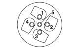 Conector SACC-M12MS-4CON-PG 7-M