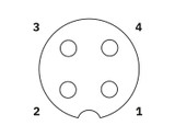 Conector SACC-M12FS-4CON-PG7