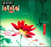 黑鸭子演唱组 - 君心似我心