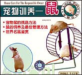 宠物训养—鼠