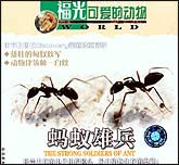 可爱的动物—蚂蚁雄兵