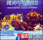 可爱的动物—海洋中的森林
