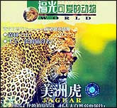 可爱的动物—美洲虎