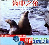 可爱的动物—海中之象