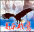 高原雄鹰-灵魂的故事