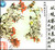 花卉写生与创作1—2