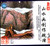 山水画创作规律1—2