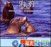 可爱的动物—海豹