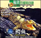 可爱的动物—鳄鱼