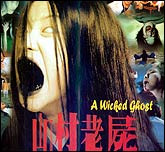 山村老尸（DVD）