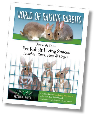 Pet Rabbit Living Spaces - eBook