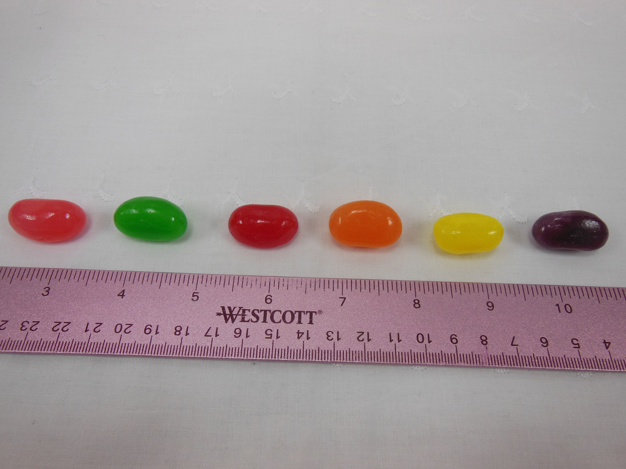 Jumbo Fruit Jelly Beans 1LB (453g) G.J. Howe