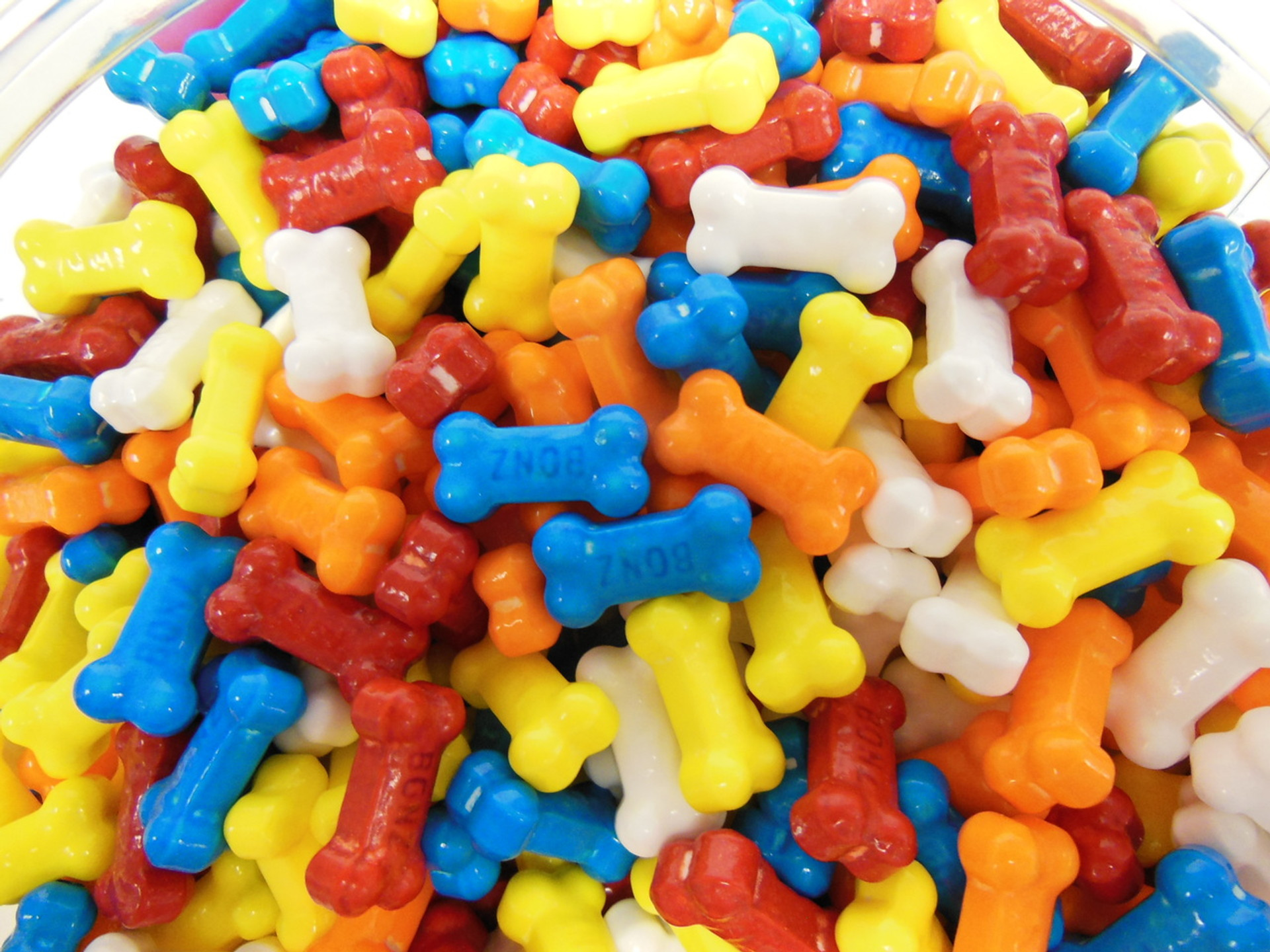 Bonz Dog Bones Candy Coated Candy 1 Lb (453g) Boyd's Retro Candy