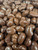 Sugar Free NSA Chocolate Covered Peanuts 1LB (453g) GKI Foods LLC