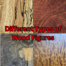 The Beauty of American Hardwoods: Exploring the Different Types of Figure and Their Impact on Your Cajon The Beauty of American Hardwoods: Exploring the Different Types of Figure and Their Impact on Your Cajon