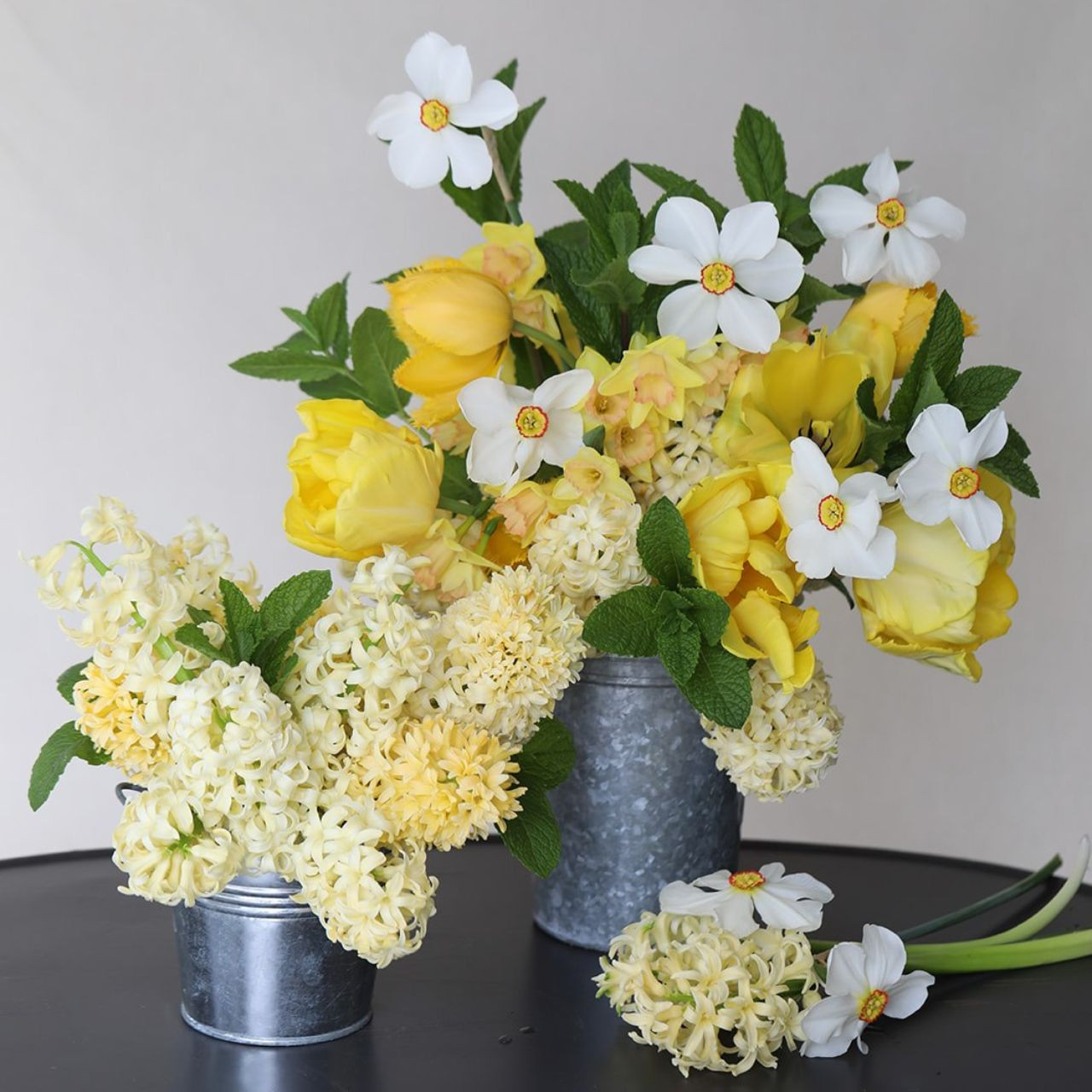 Daffodil Poeticus Actaea - Thumbnail 5