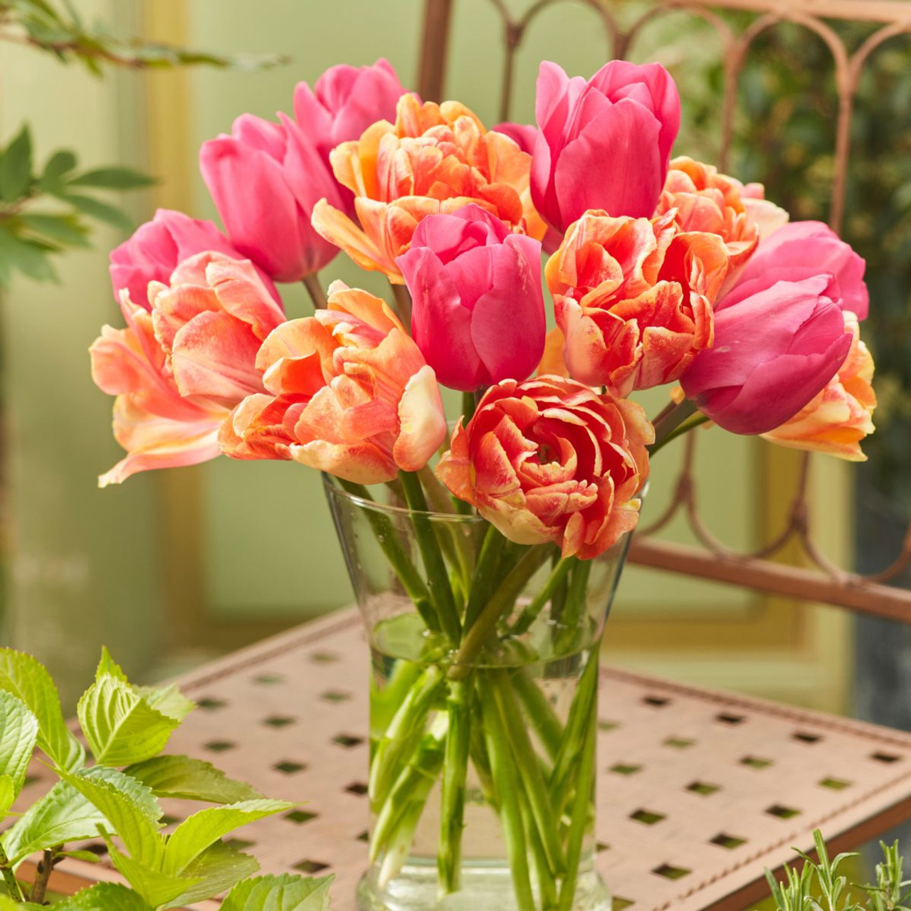 TULIPページ Zephyr Tulip Blend | Always Wholesale Pricing | Colorblends®