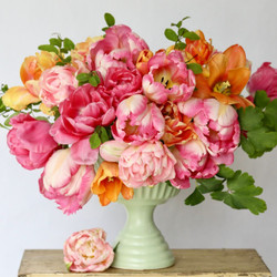 Five single and double tulips in shades of pink and peach, including Silver Parrot, Charming Beauty, Apricot Foxx, Finola and Aveyron.