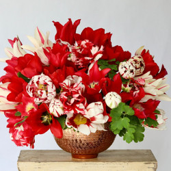 A collection of red and white tulips that includes striped varieties Carnaval de Nice, Estella Rijnveld and Marilyn, plus solid red Bastogne and Pretty Woman.