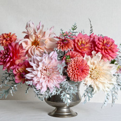 Dahlia Assorted Flirty Fleurs Bergen Collection