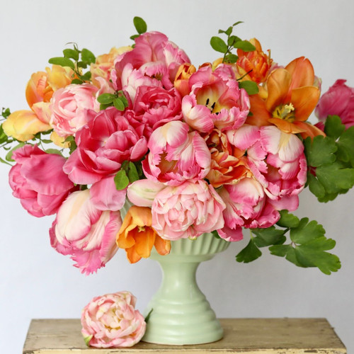 Five single and double tulips in shades of pink and peach, including Silver Parrot, Charming Beauty, Apricot Foxx, Finola and Vogue.