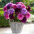 A bouquet of dinnerplate dahlias in a white wicker basket, featuring flowers in colors of pink, lavender and wine-red.