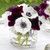 A bouquet of white and burgundy single anemones in a clear glass vase.