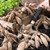 Clumps of dahlia tubers in a rustic wood crate, ready for spring planting, and showing how each clump has a stem, neck and sprout.