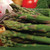 Asparagus Jersey Giant