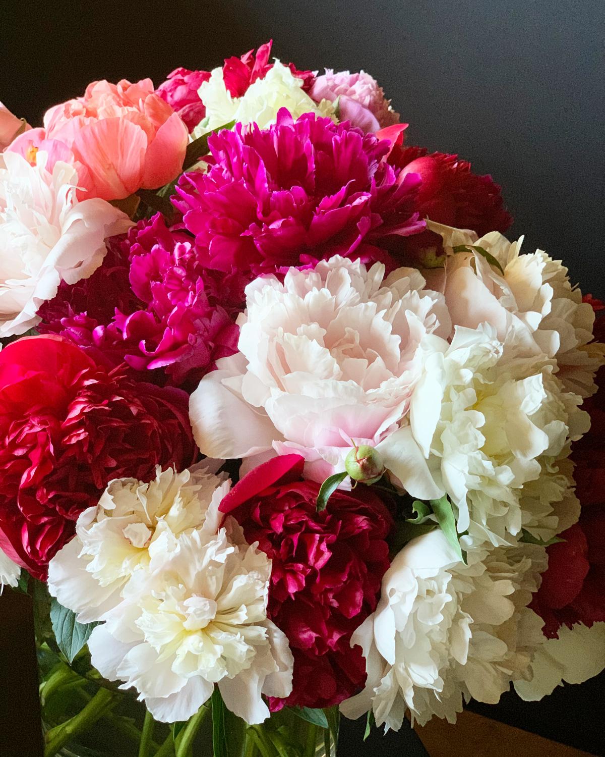 all-about-peonies6.jpg