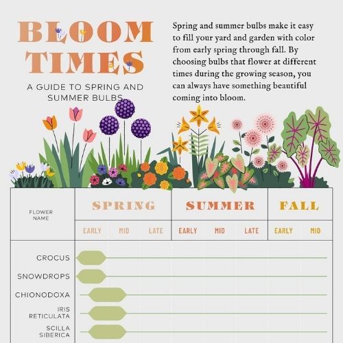 Bloom Time Planning Guide for Spring and Summer Flower Bulbs 