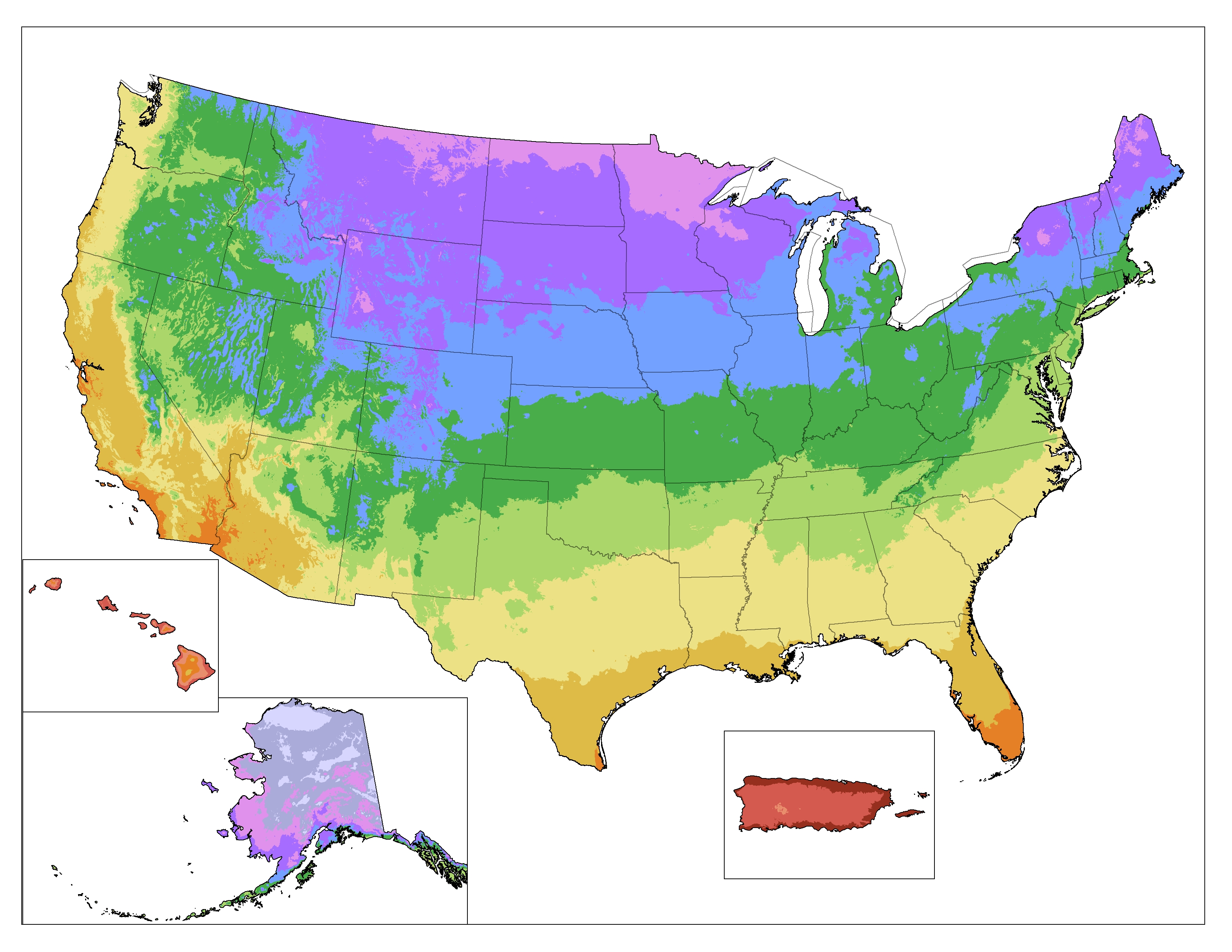 buyers-guide-for-perennials1.jpg