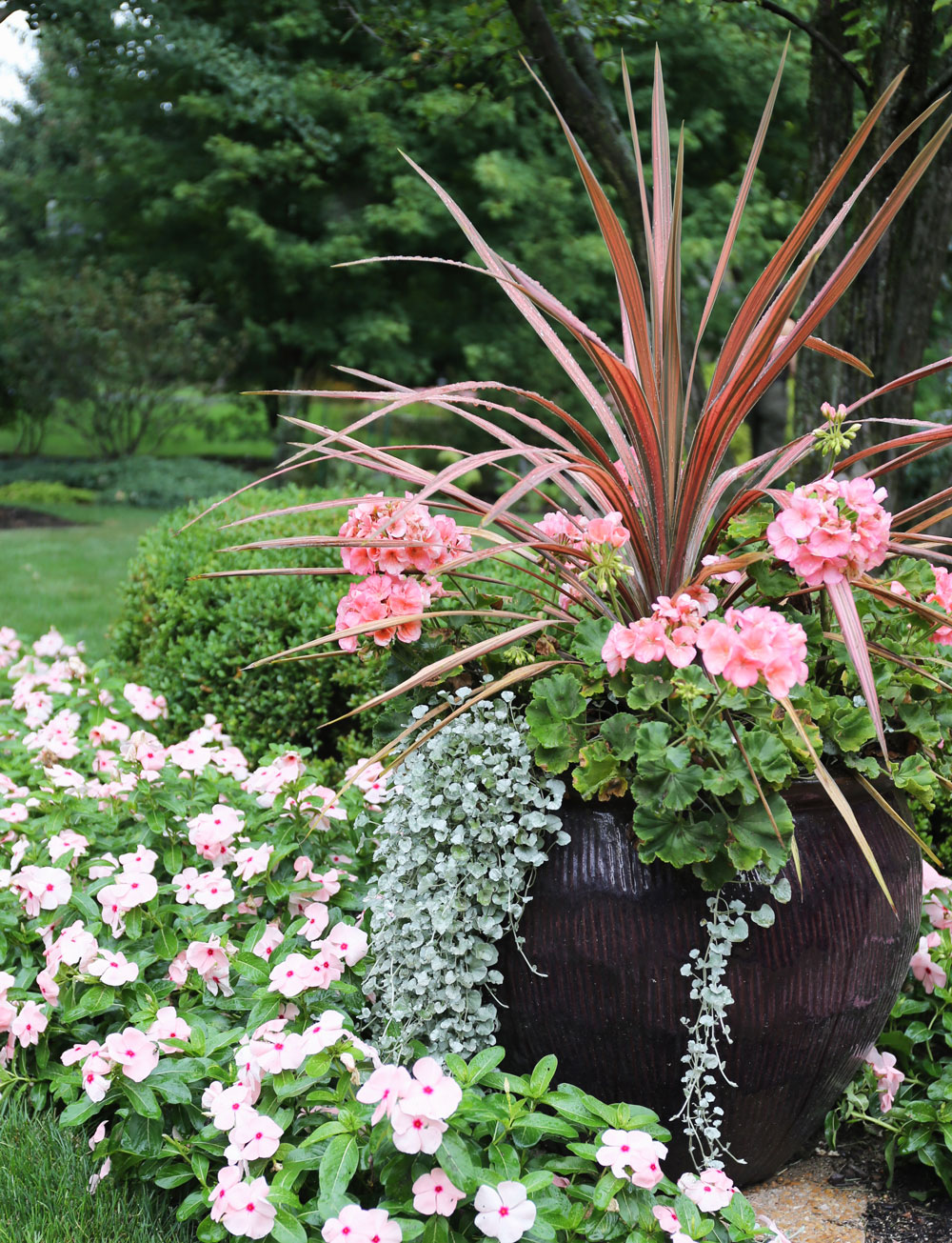 container-planting.jpg