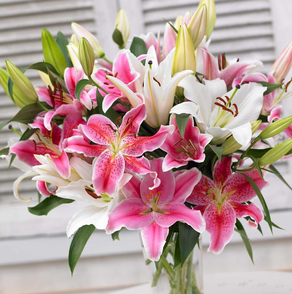 fragrant-flowers-for-homegrown-bouquets-9.jpg