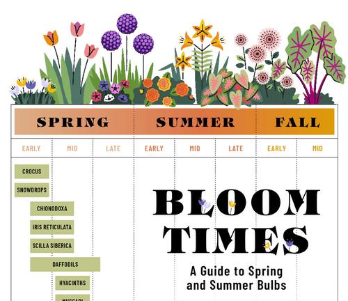 bulb flower garden layout planner